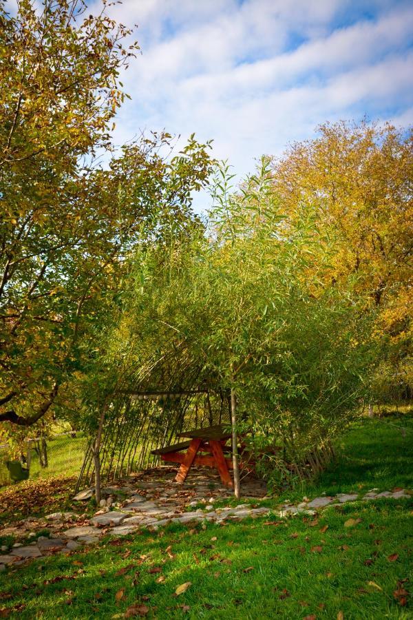 Casa Wezly Villa Măgura Eksteriør billede