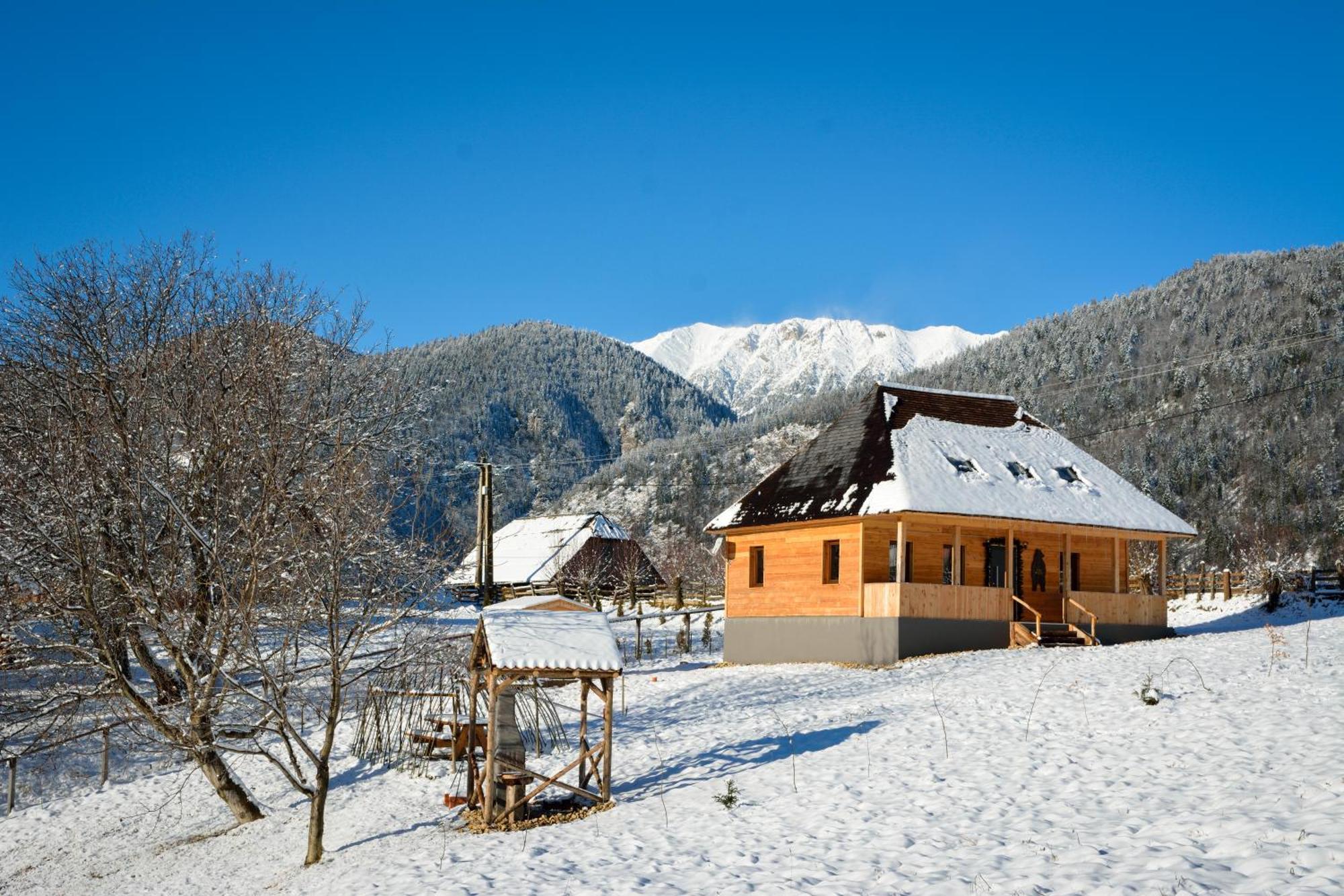 Casa Wezly Villa Măgura Eksteriør billede